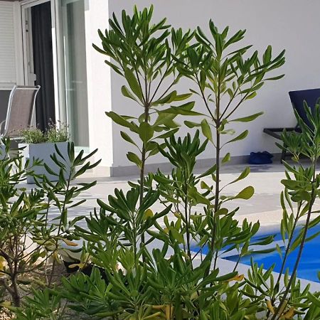Pool Apartments & Rooms Mare Novalja Room photo