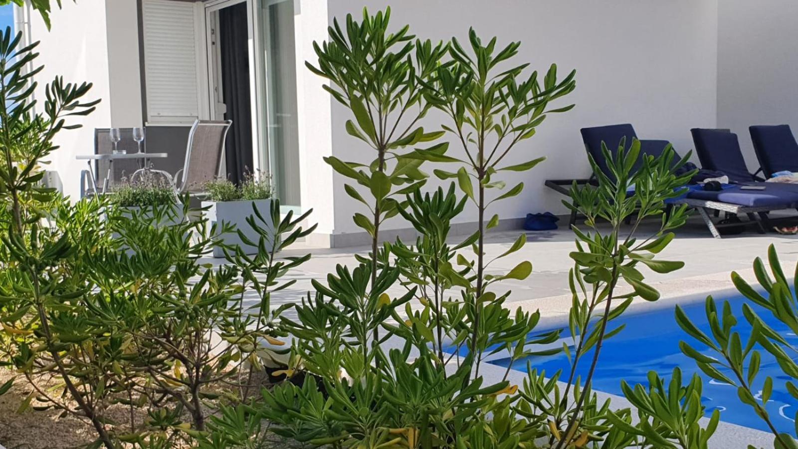 Pool Apartments & Rooms Mare Novalja Room photo
